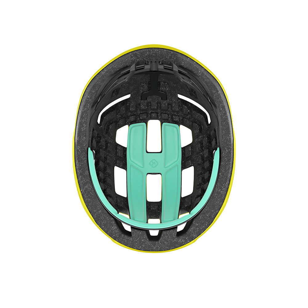 #color_flash-yellow|#color_éclat-jaune